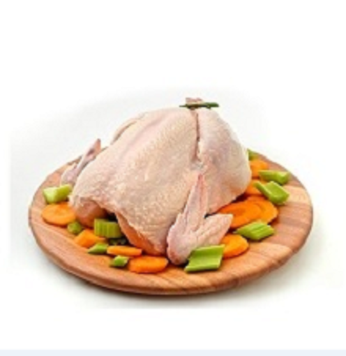 Imagem de FRANGO F
