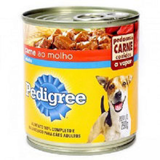 Imagem de LT PED CARNE AO MOLHO 290G