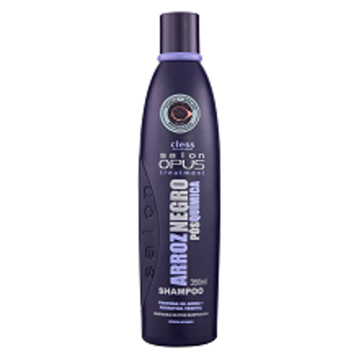 Imagem de OP SALON AH ARGININ ARGAN 350ML